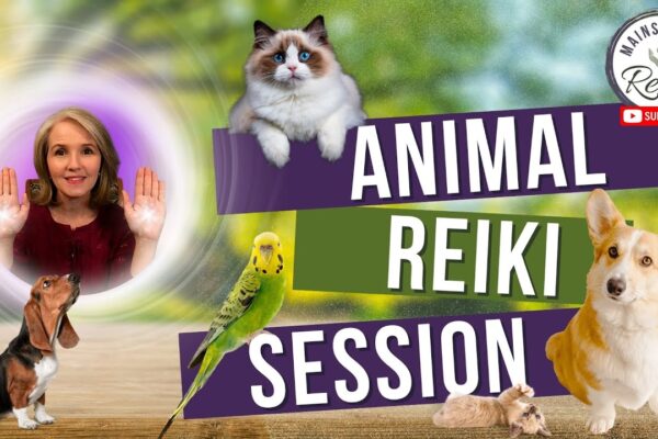 Animal Reiki Session | Calm and Healing for Your Pets 🐾