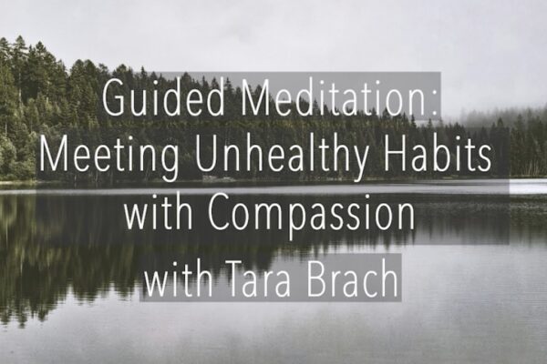 Guided Meditation: Meeting Unhealthy Habits with Compassion - Tara Brach