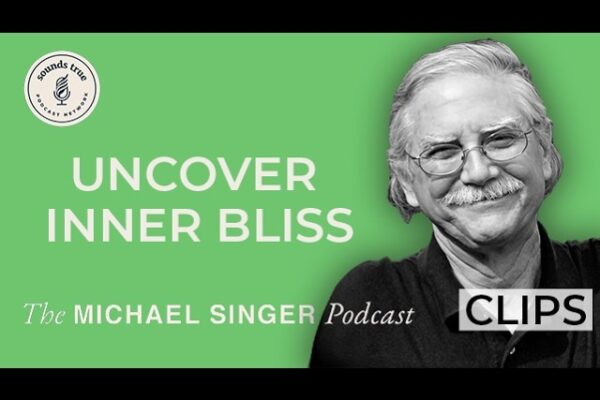 How Do I Let Go of Reactive Energies? | The Michael Singer Podcast Clips