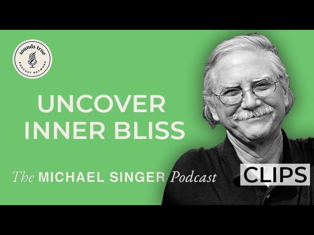 How Do I Let Go of Reactive Energies? | The Michael Singer Podcast Clips