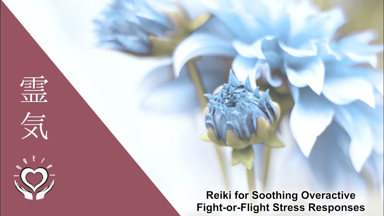 Reiki for Soothing Overactive Fight or Flight Stress Responses | Energy Healing