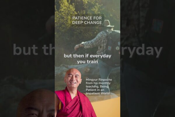 Patience for Deep Change - Mingyur Rinpoche