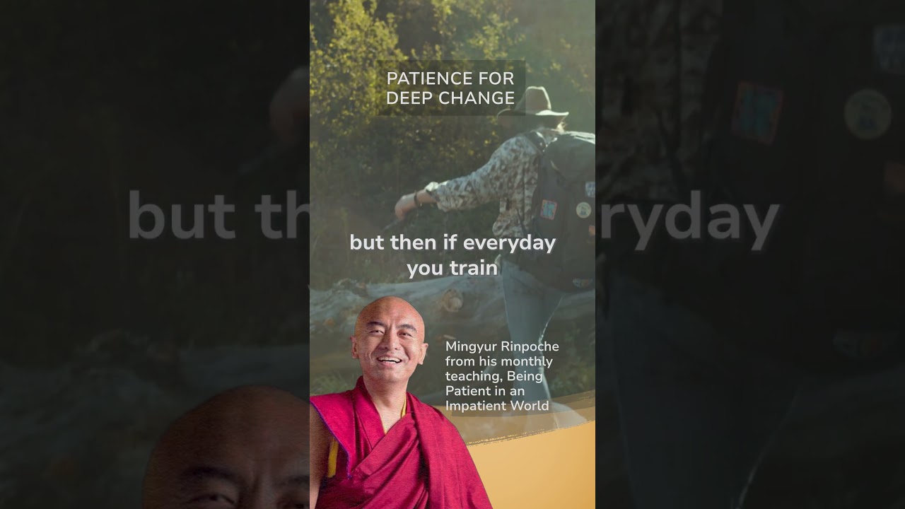 Patience for Deep Change - Mingyur Rinpoche