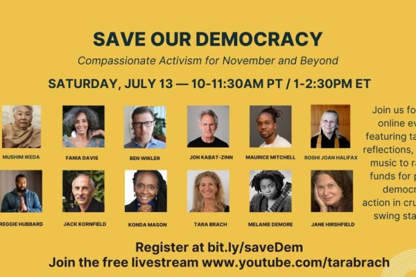 Save Our Democracy: Compassionate Activism for November and Beyond