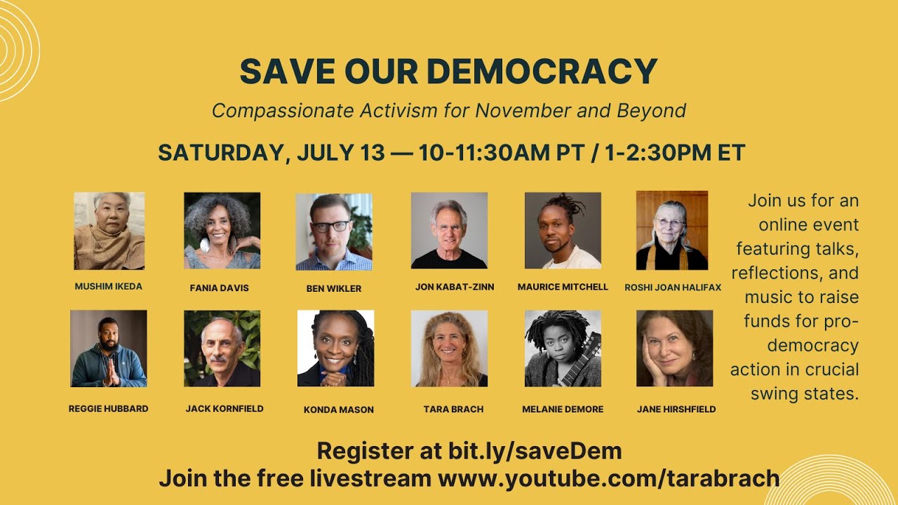 Save Our Democracy: Compassionate Activism for November and Beyond