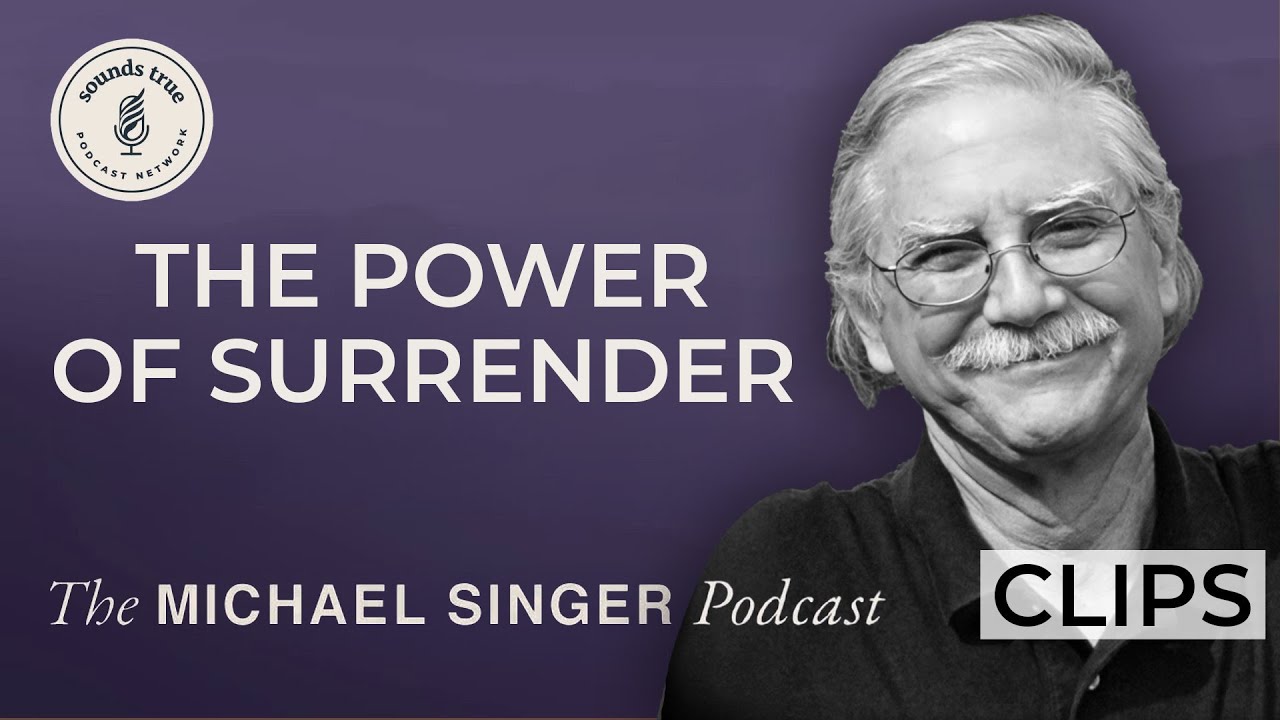 Embracing Life Beyond the Mind's Concepts | The Michael Singer Podcast Clips