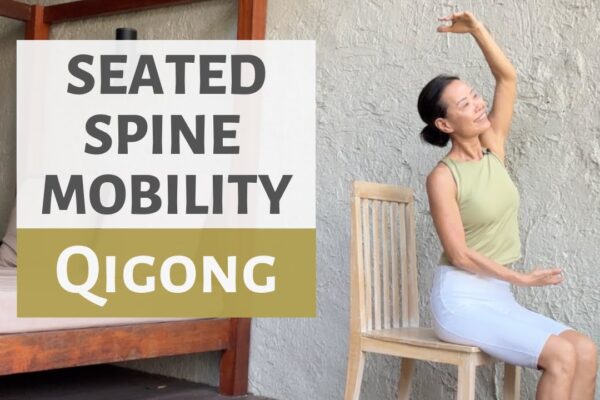 SEATED QIGONG FOR SPINE MOBILITY