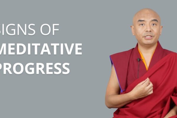 Signs of Meditative Progress with Yongey Mingyur Rinpoche