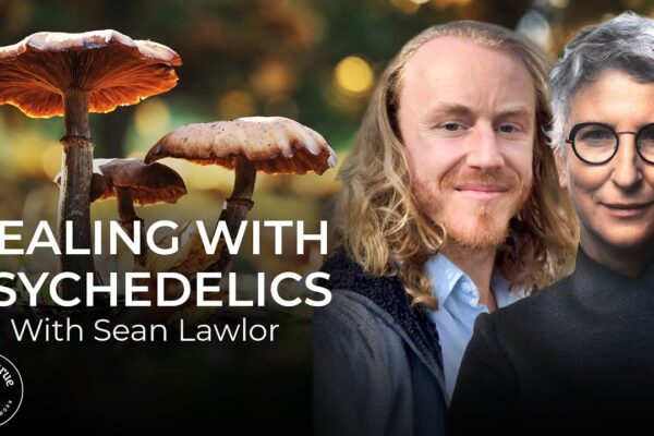 The Healing Power of Psychedelics Explained | Sean Lawlor | Insights at the Edge Podcast