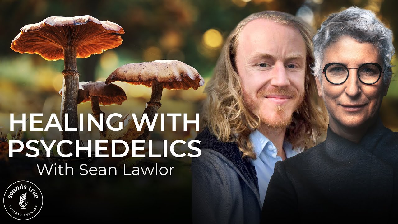 The Healing Power of Psychedelics Explained | Sean Lawlor | Insights at the Edge Podcast