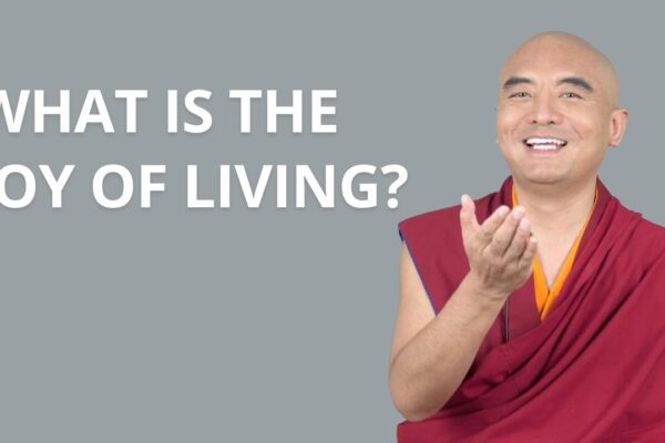 What Is the Joy of Living?  — Mingyur Rinpoche