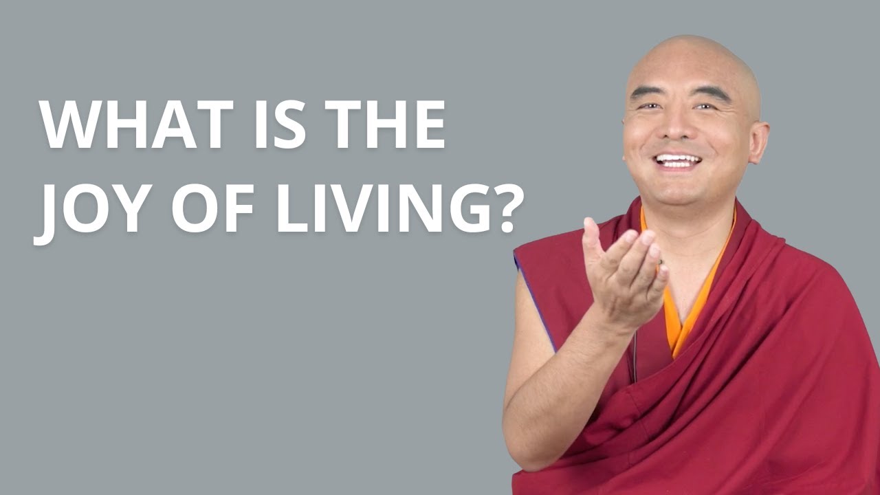 What Is the Joy of Living?  — Mingyur Rinpoche