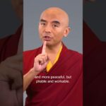 Give the monkey mind a job - Mingyur Rinpoche  #meditation #mentalhealth