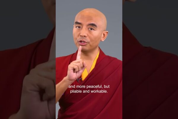 Give the monkey mind a job - Mingyur Rinpoche  #meditation #mentalhealth