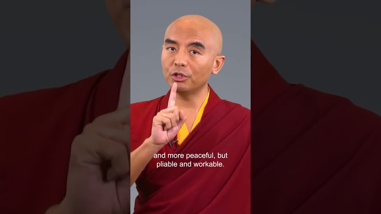 Give the monkey mind a job - Mingyur Rinpoche  #meditation #mentalhealth