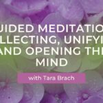 Guided Meditation: Collecting, Unifying and Opening the Mind