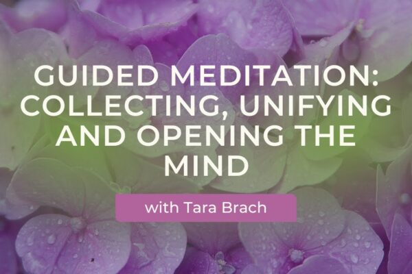 Guided Meditation: Collecting, Unifying and Opening the Mind