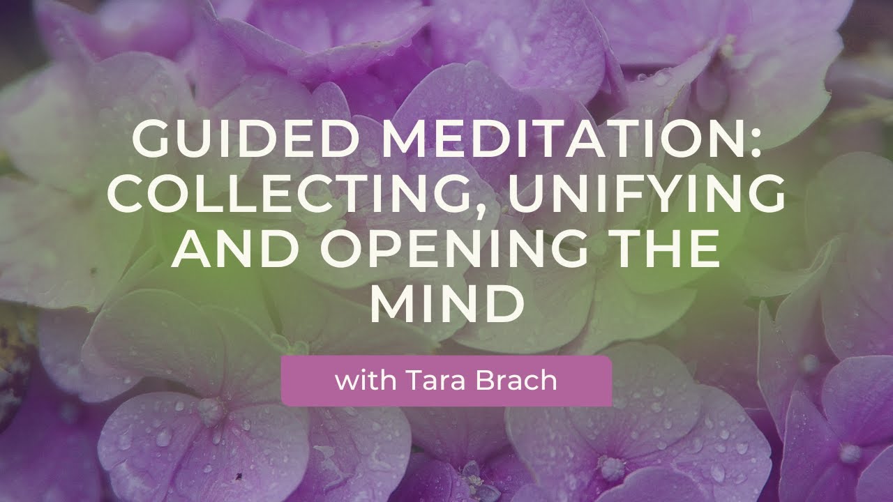 Guided Meditation: Collecting, Unifying and Opening the Mind