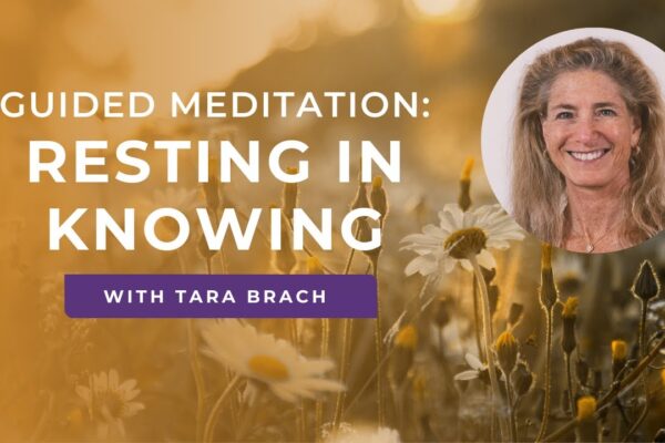 Guided Meditation: Resting In Knowing with Tara Brach