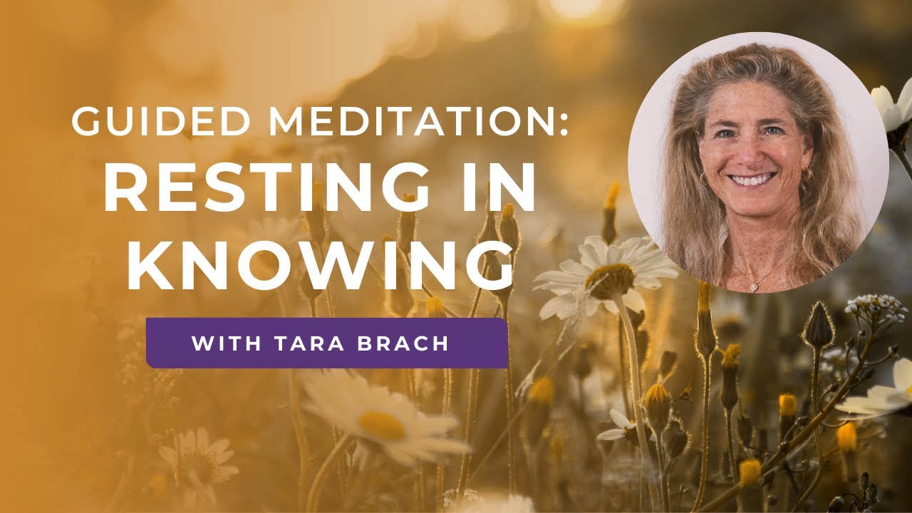 Guided Meditation: Resting In Knowing with Tara Brach