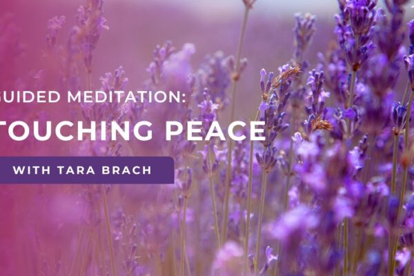 Guided Meditation: Touching Peace with Tara Brach