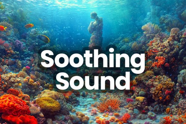 Reef Relief: 3 Hours Ambient Underwater Soundscape + Music for Deep Relaxation