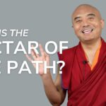 What Is the Nectar of the Path? — Mingyur Rinpoche