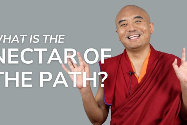 What Is the Nectar of the Path? — Mingyur Rinpoche