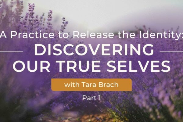 A Practice to Release the Identity | Part 1 Discovering Our True Selves with Tara Brach