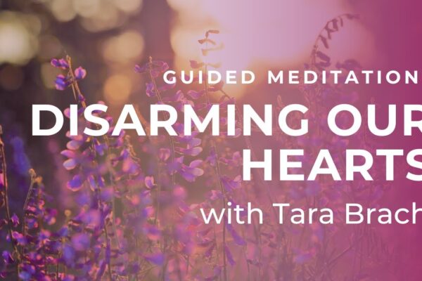 Guided Meditation: Disarming Our Hearts with Tara Brach