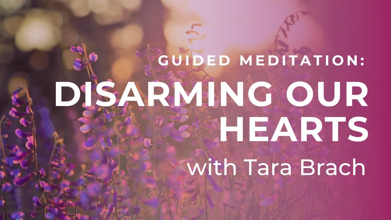 Guided Meditation: Disarming Our Hearts with Tara Brach