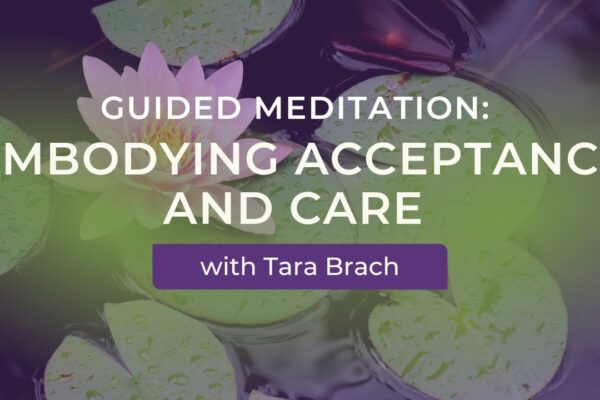 Guided Meditation: Embodying Acceptance And Care