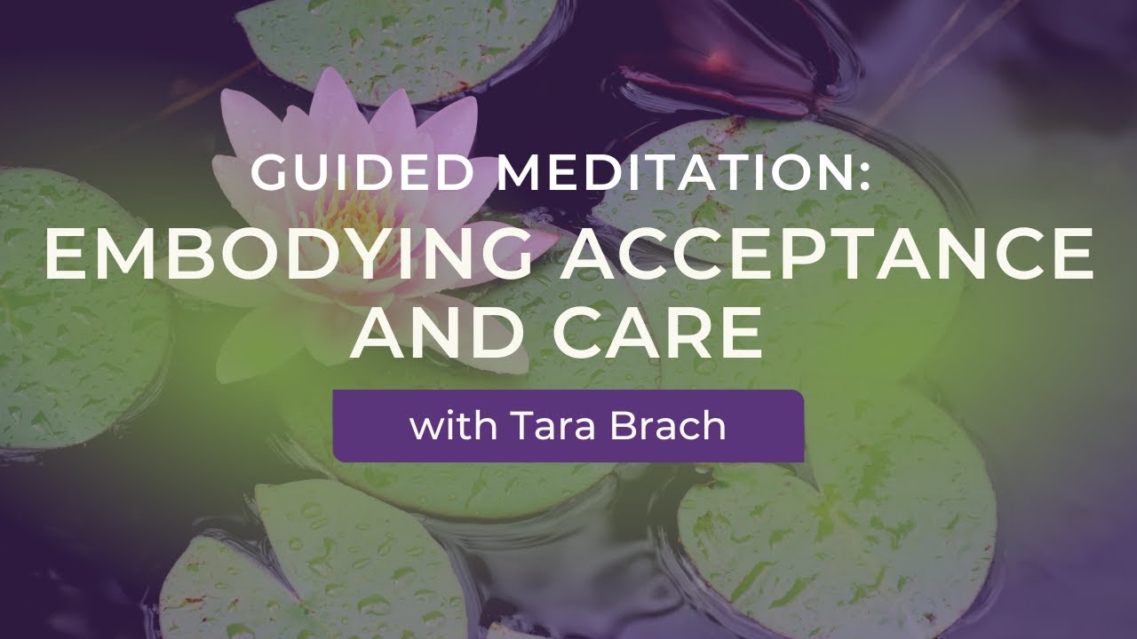 Guided Meditation: Embodying Acceptance And Care