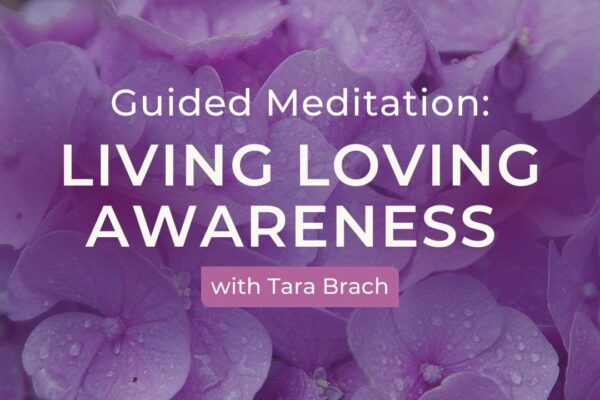 Guided Meditation: Living Loving Awareness with Tara Brach