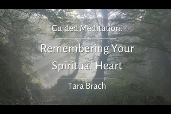 Guided Meditation: Remembering Your Spiritual Heart - Tara Brach