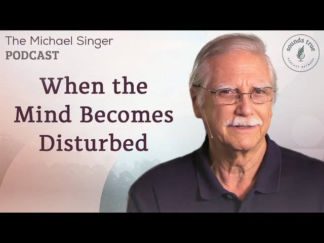 When the Mind Becomes Disturbed | The Michael Singer Podcast