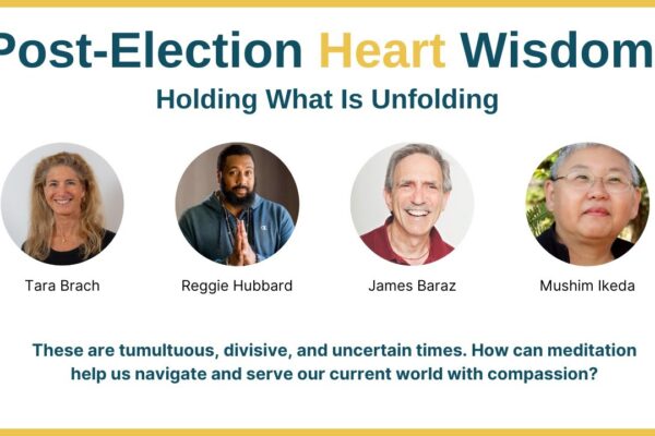 Post-Election Heart Wisdom: Holding What Is Unfolding - Tara Brach & Friends