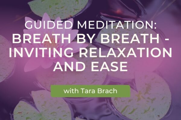 Guided Meditation: Breath by Breath - Inviting Relaxation and Ease with Tara Brach