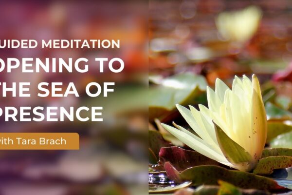 Guided Meditation: Opening to the Sea of Presence with Tara Brach