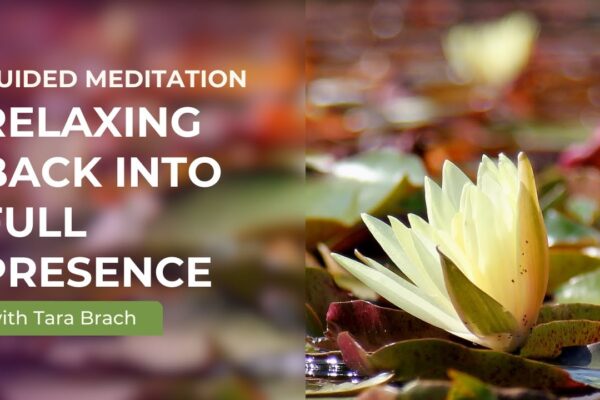 Guided Meditation: Relaxing Back Into Full Presence with Tara Brach