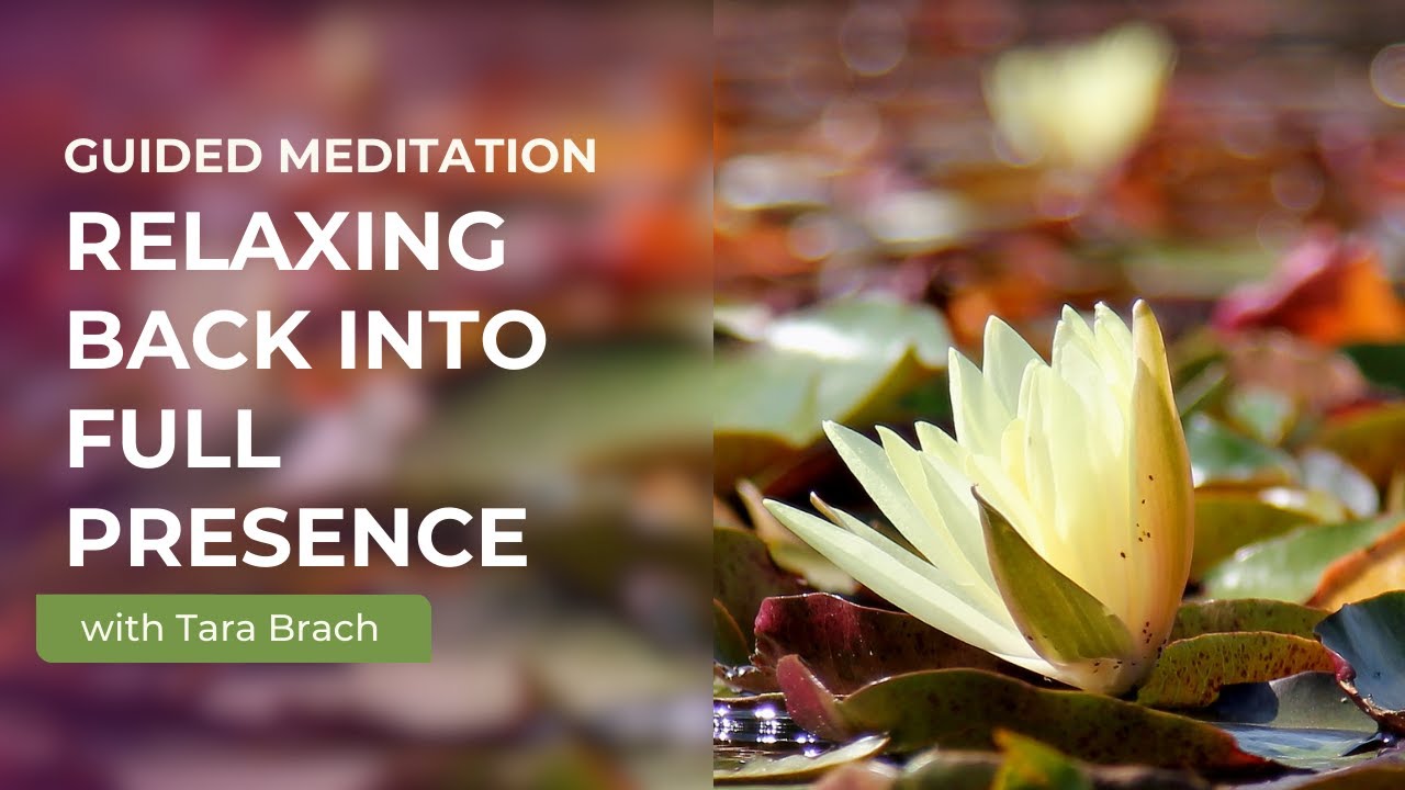 Guided Meditation: Relaxing Back Into Full Presence with Tara Brach